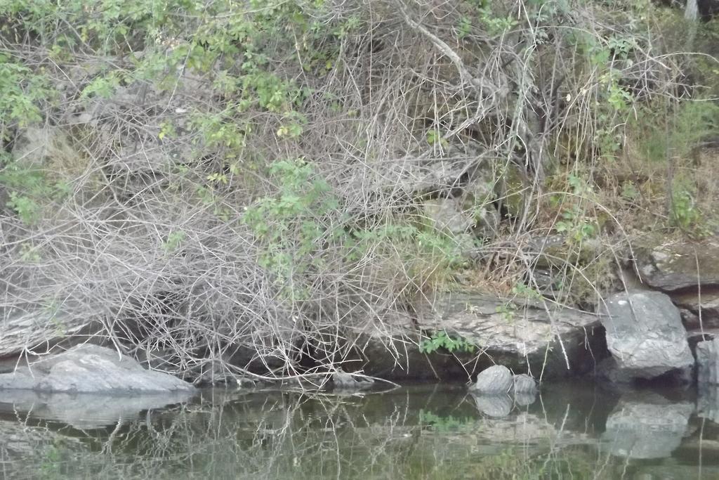 Pensjonat Casa Dos Xares Rosmaninhal  Zewnętrze zdjęcie