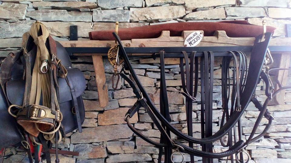 Pensjonat Casa Dos Xares Rosmaninhal  Zewnętrze zdjęcie